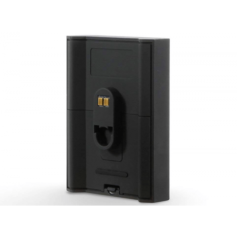 Bluesound FLEX - Batterie BP100 noir Bluesound FLEX - Batterie BP100 noir