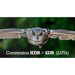Conversion automatique des films HDR en version SDR pour les téléviseurs non HDR