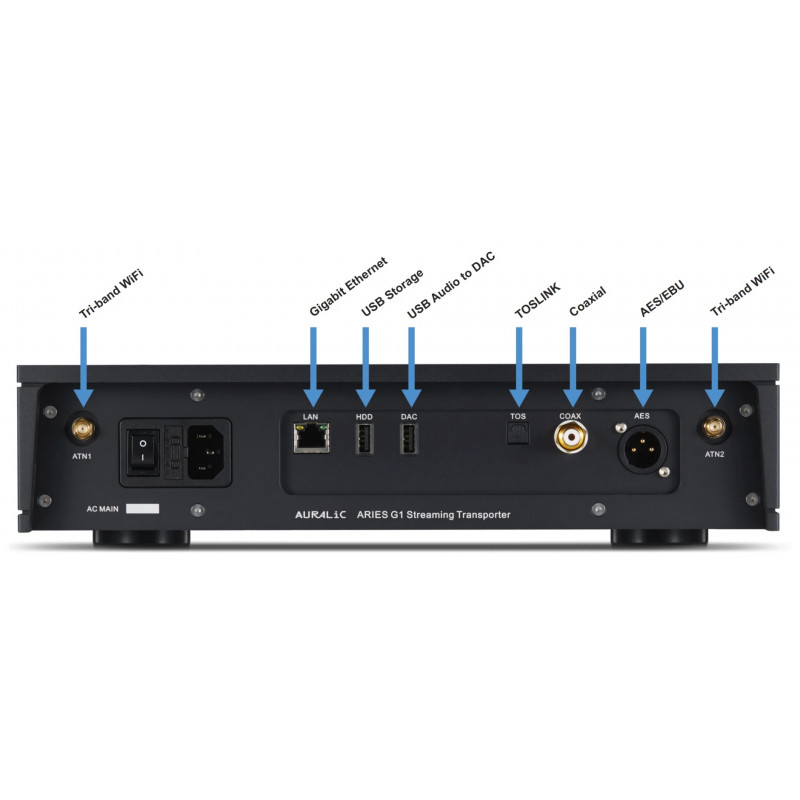 Auralic Aries G1