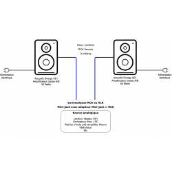 Principes de branchement des AE1 avec les deux enceintes actives.