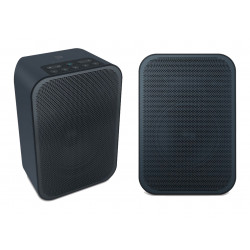 Bluesound PULSE FLEX 2i Noir : enceinte connectée réseau, bluetooth et AirPlay. Lecture audio HD et fonctions multiroom musical