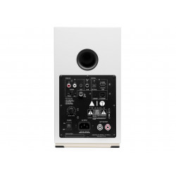 Triangle AIO Twin Blanc - Entrées RCA phono MM, optique, USB, aux mini-jack, ethernet