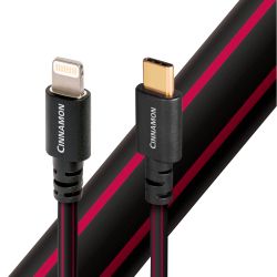 AudioQuest USB C - Lightning Cinnamon