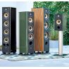 Focal Aria EVO X N°1 Noir : format bibliothèque de la gamme Aria EVO X