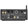Gold Note DS-10 EVO Argent - Connectiques analogiques et numériques