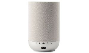 Denon Home 200 Argent - Connectiques