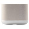 Denon Home 400 Argent - Compatible services streaming, UPnP/DLNA, AirPlay 2, Roon et Bluetooth