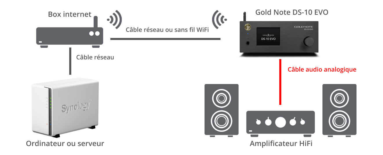 Installation du lecteur Gold Note DS-10 EVO avec un amplificateur HiFi​
